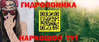 дживик Кингисепп