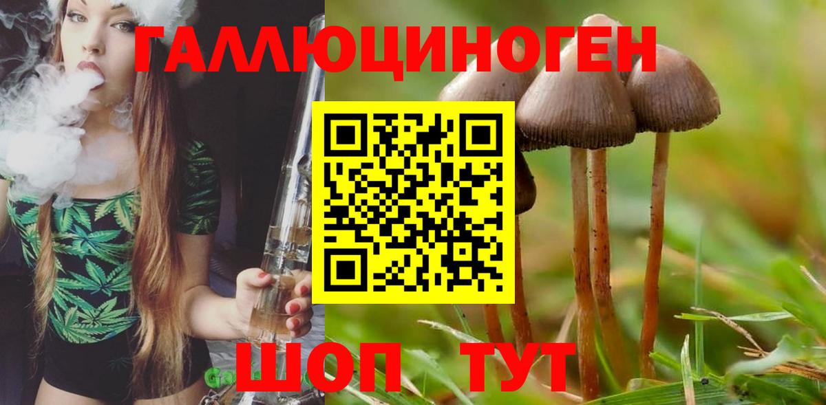 Псилоцибиновые грибы MAGIC MUSHROOMS  Вход с VPN  Красноармейск 