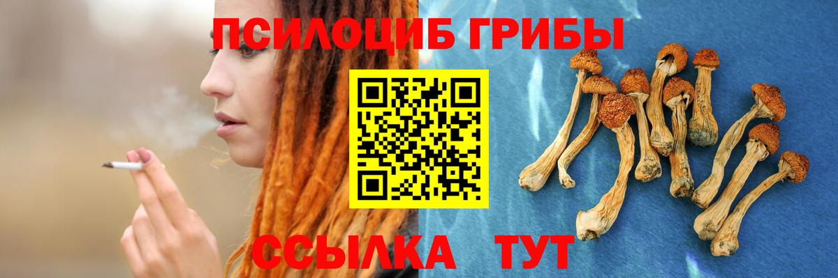 Псилоцибиновые грибы мицелий Красноармейск